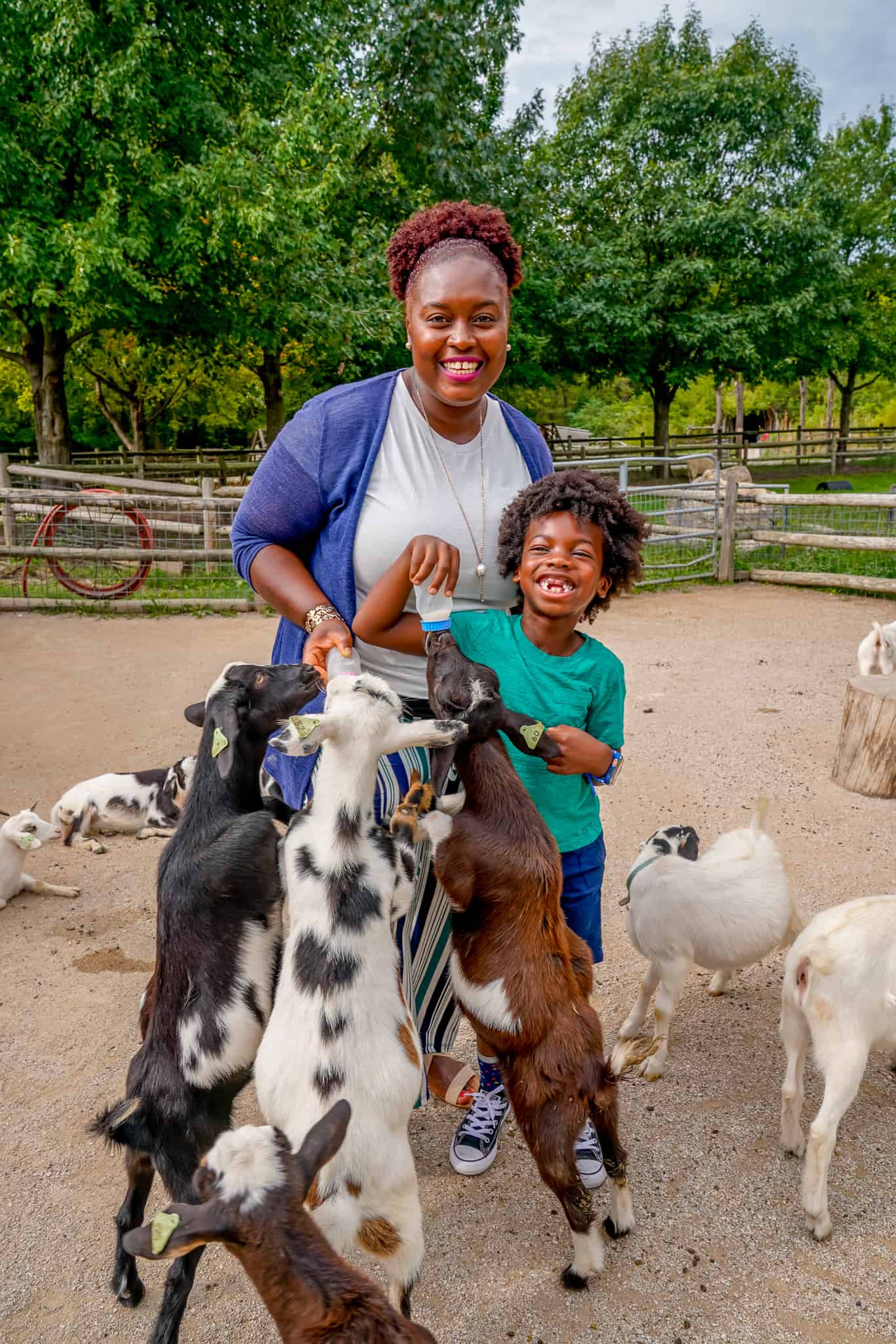 Black Kids fun with Baby Goats