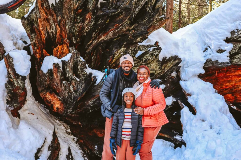 Northern California Winter Road Trip With Kids