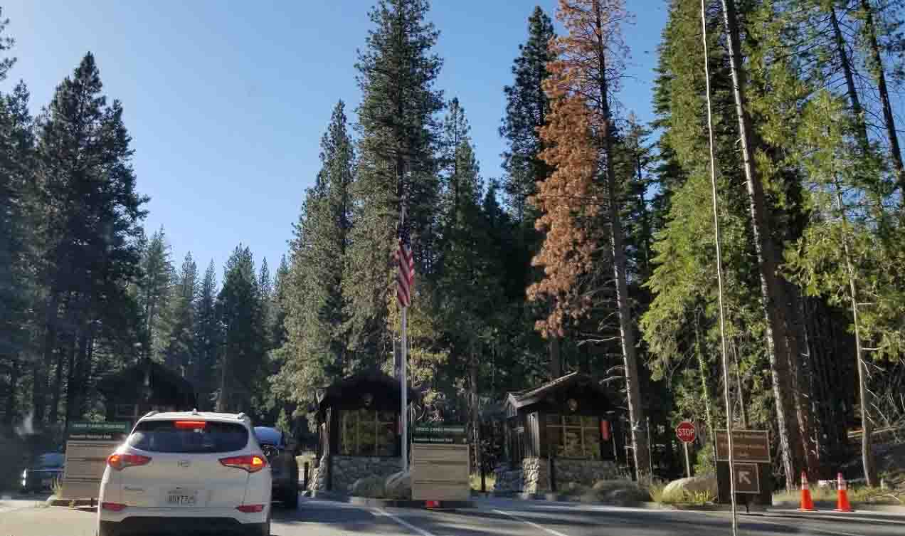 A Guide To Camping With Kids In Yosemite National Park