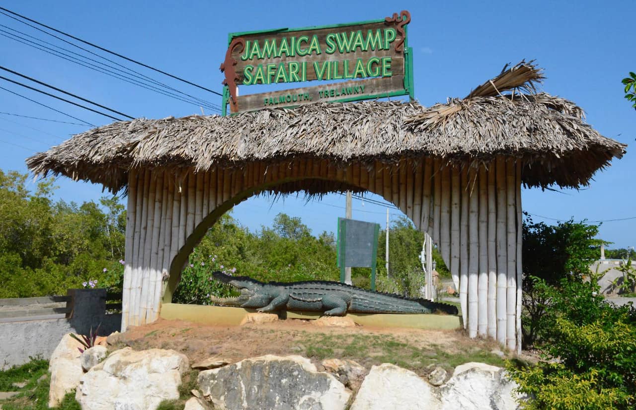 Jamaica Swamp Safari Village Tour | Things To Do In Jamaica