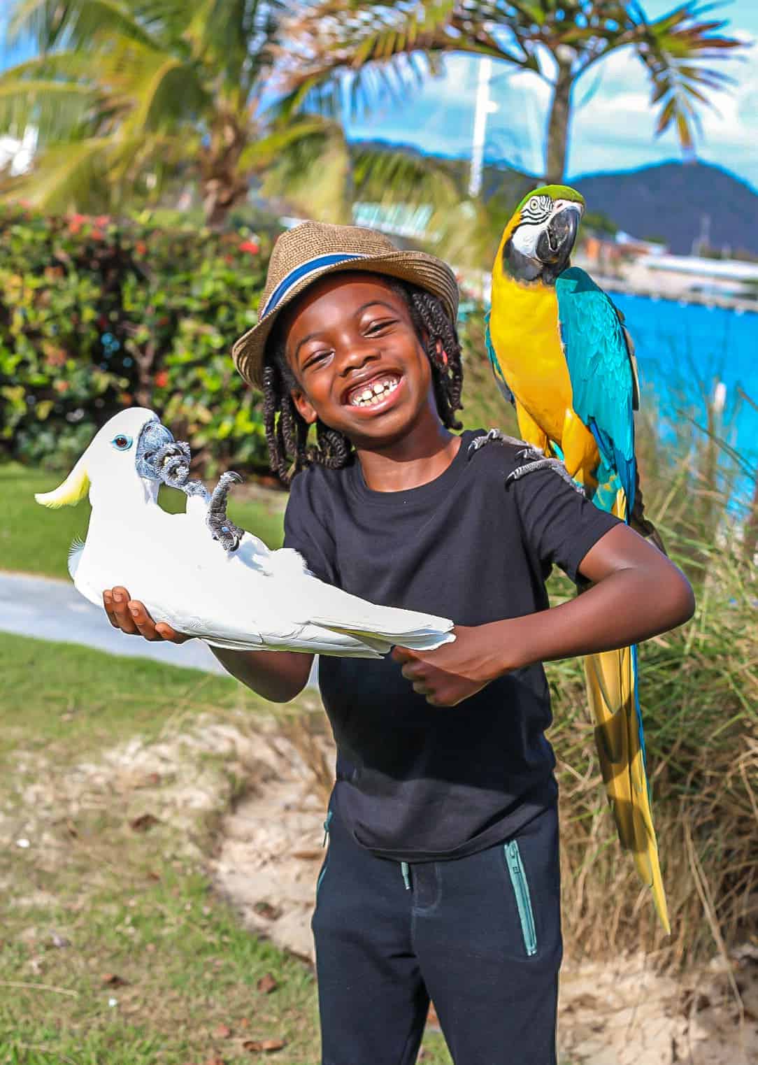 Things To Do In St. Thomas With or Without Kids