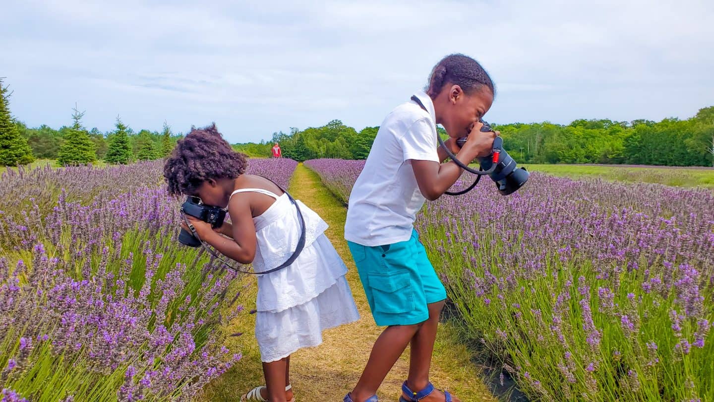 Black Family Travel Things To Do In Door County With Kids Lavender Farm 2