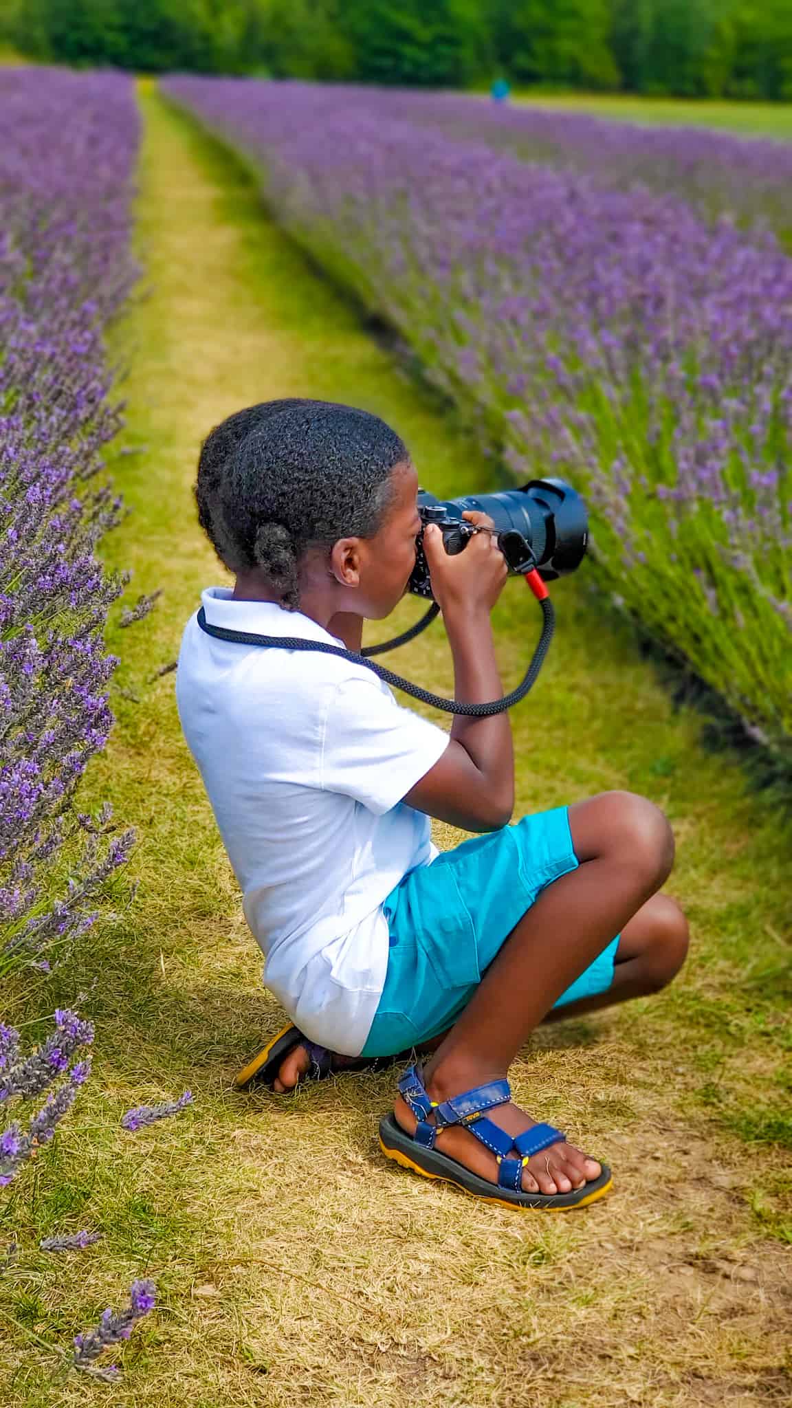 Black Family Travel Things To Do In Door County With Kids Lavender Farm