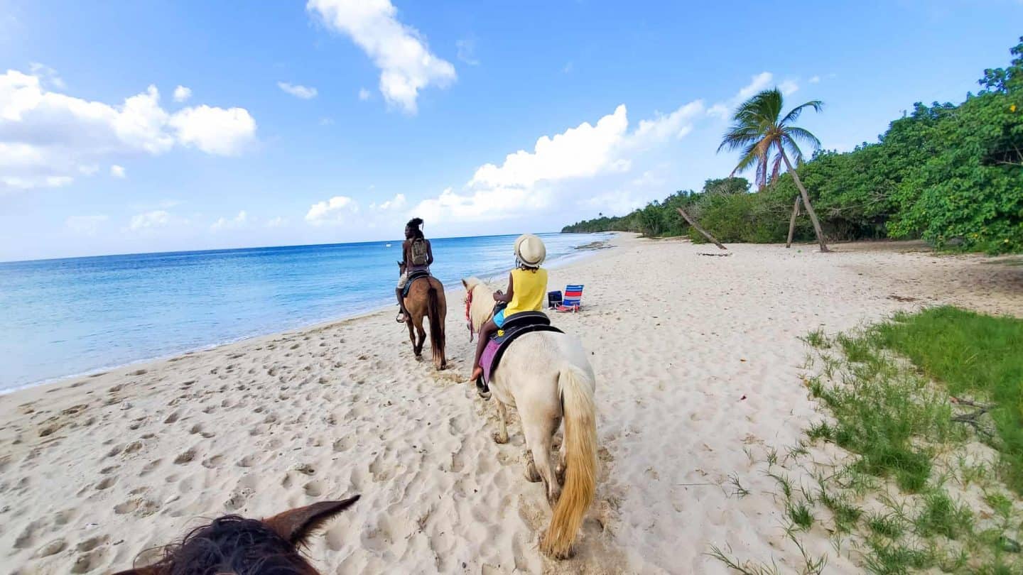 Horseback Riding in Water | Things To Do In Jamaica