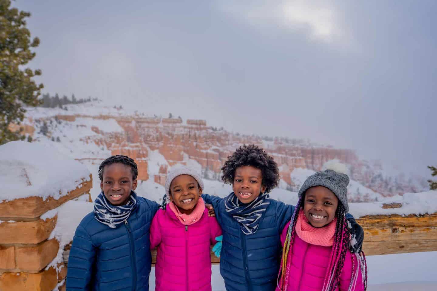 Four kids standing in front of a great snowy view.
