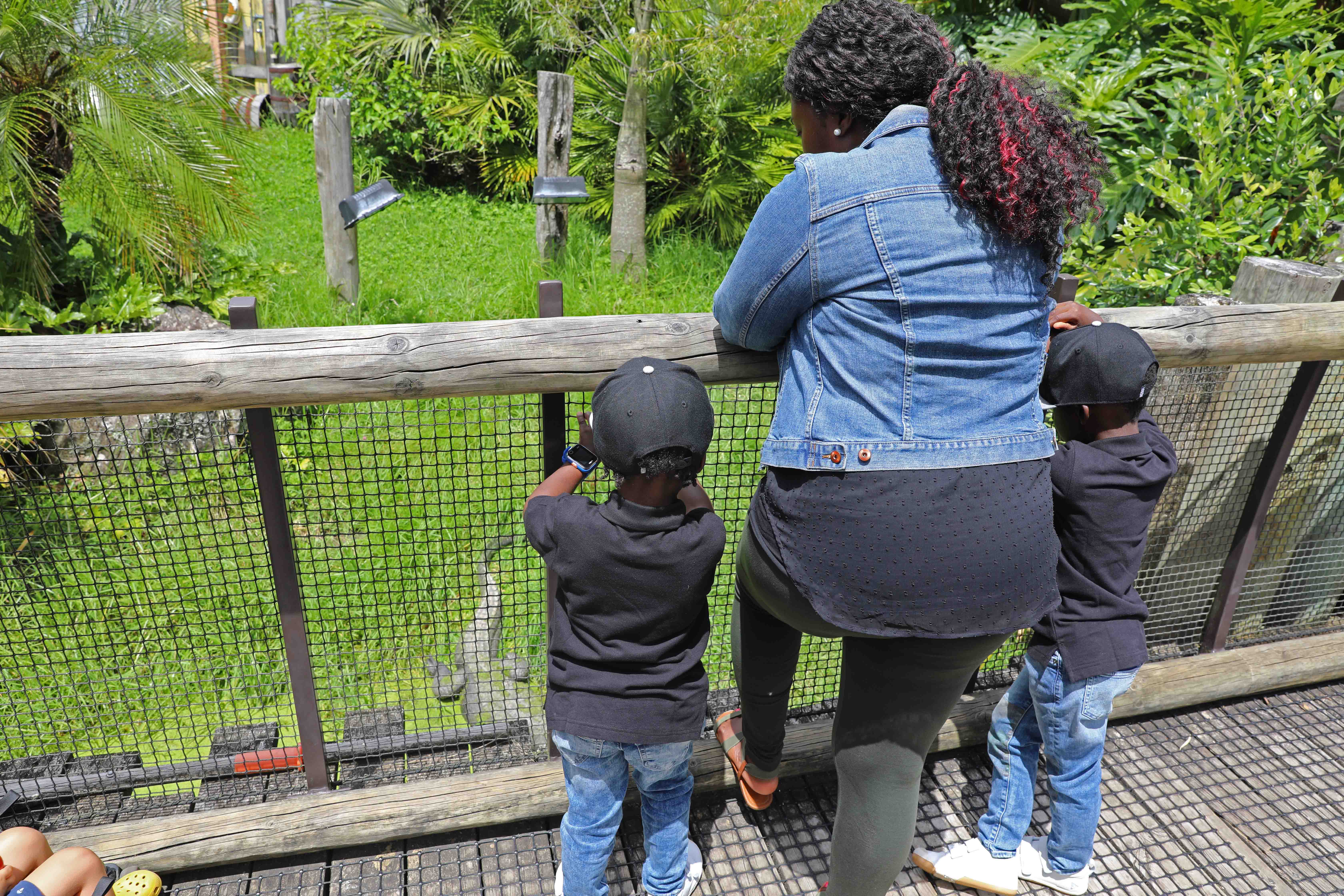 Black Family Travel auckland zoo 3