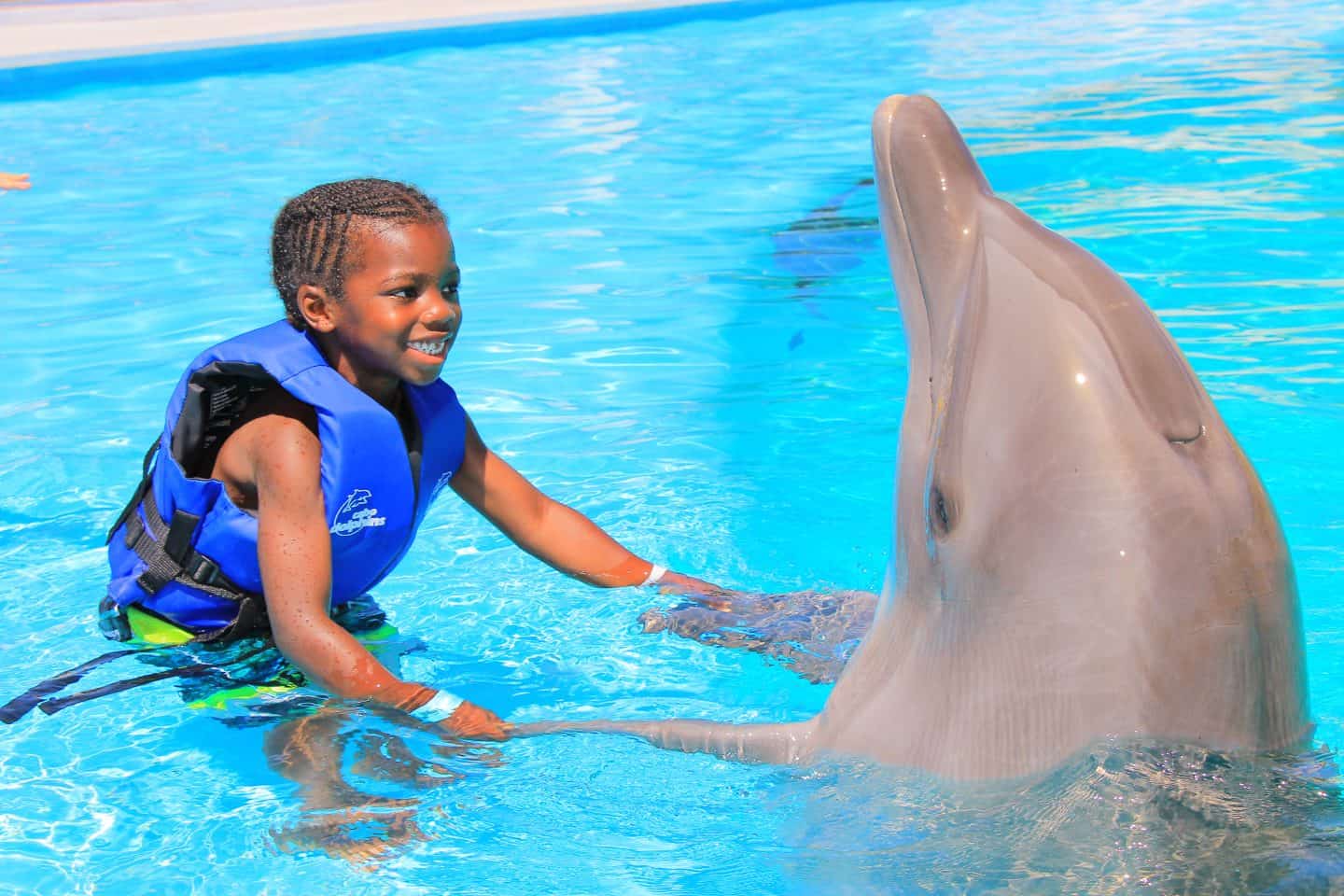 Black Family Travel cabo dolphin experience