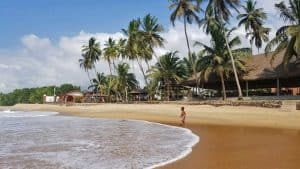 Black Family Travel coconut grove beach resort