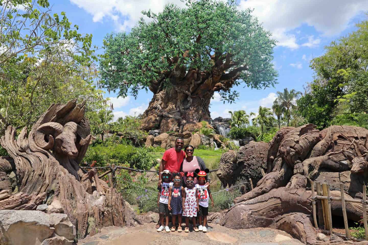 Black Family Travel disney world animal kingdom tree of life