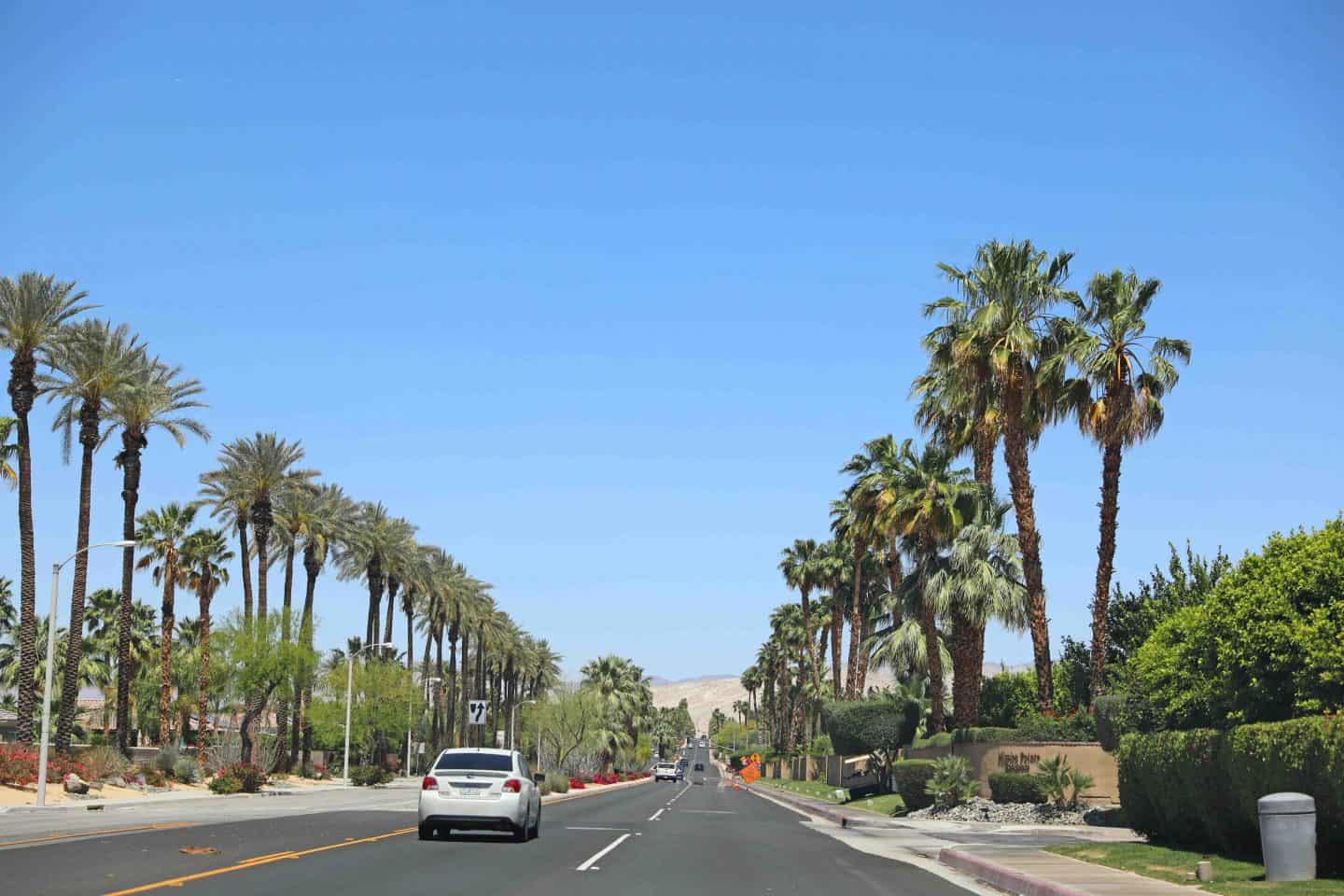 how to vacation in palm springs with kids 1