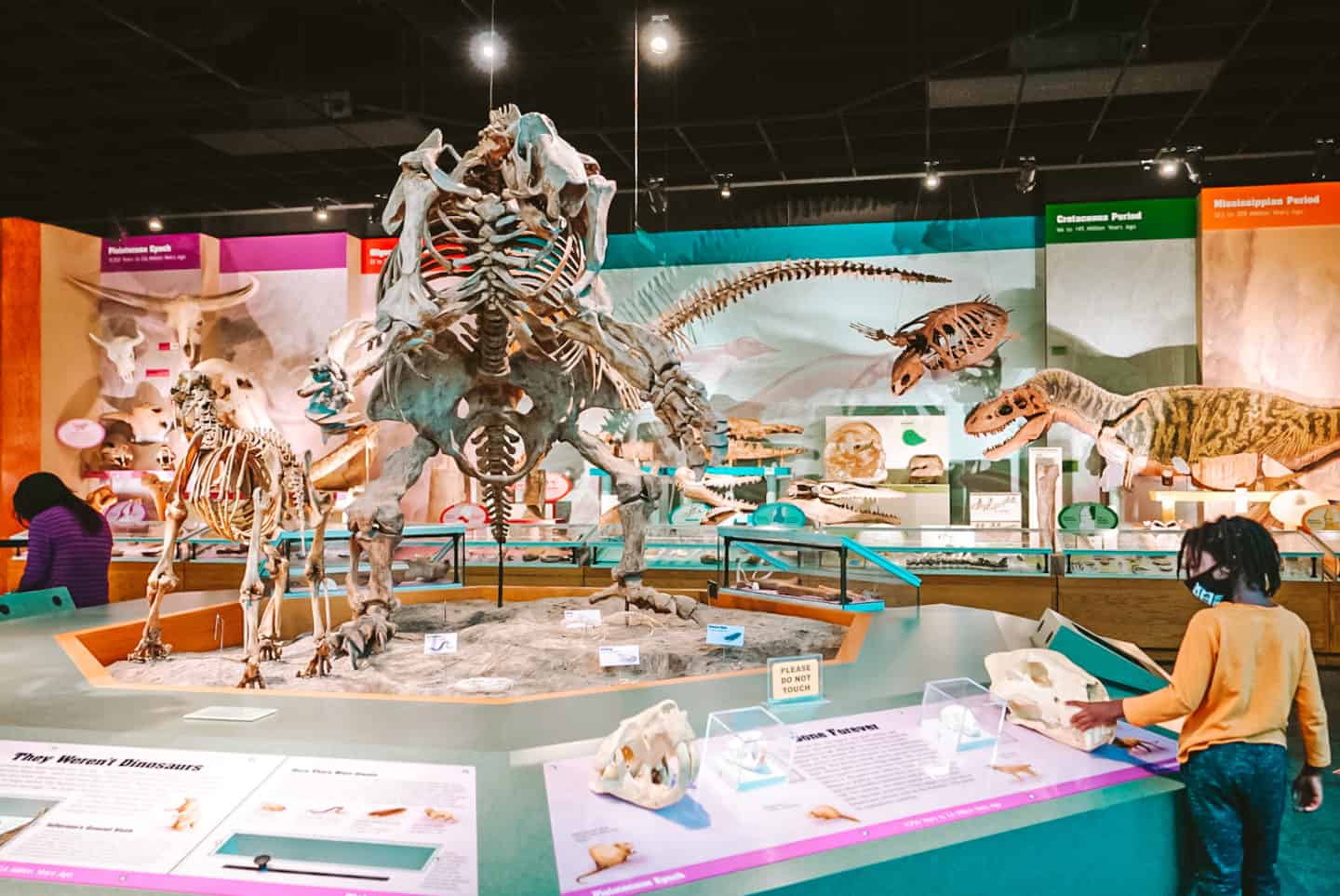 Museum of Natural Science | Fun Things To Do In Jackson Mississippi with Kids