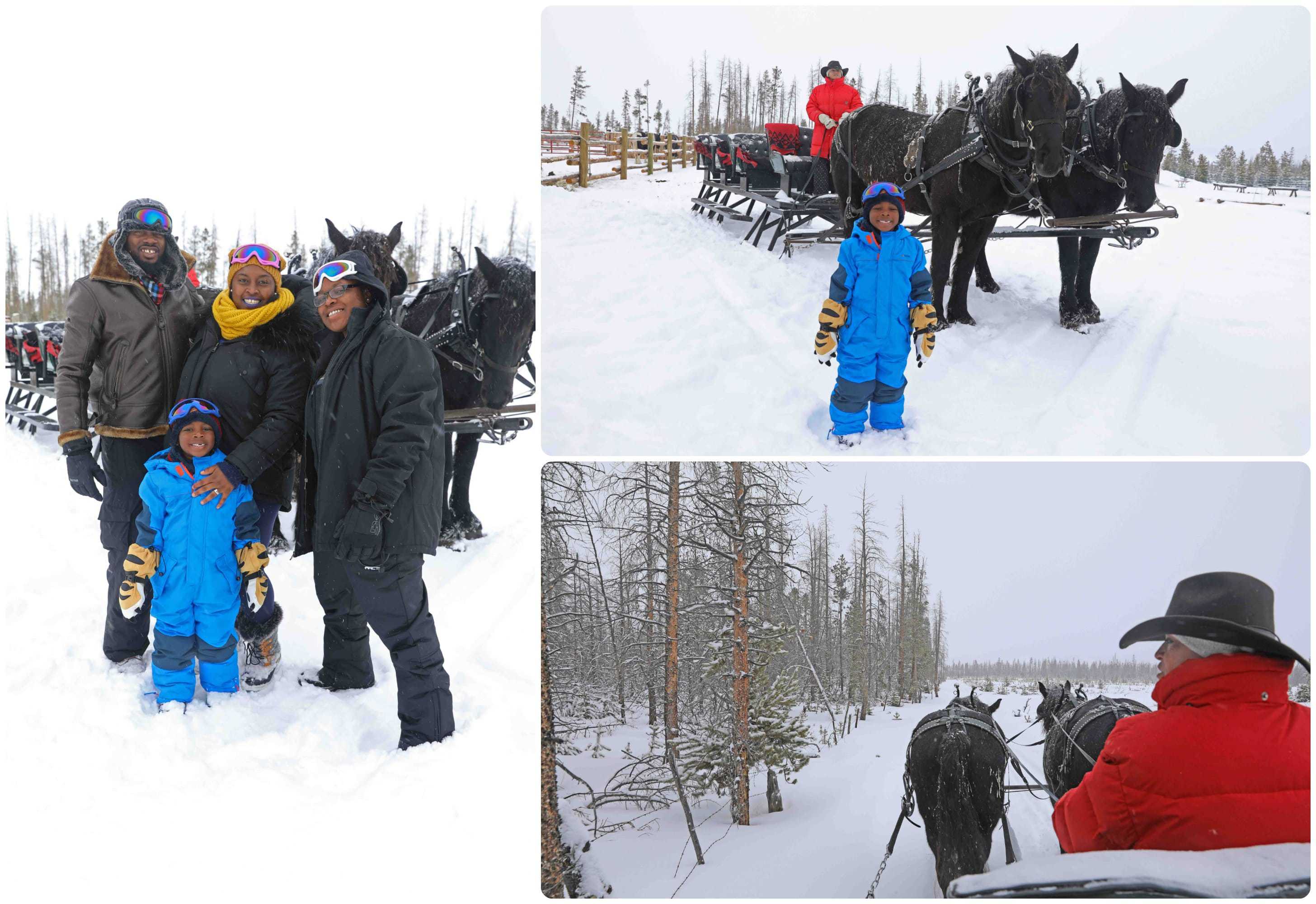 Black Family Travel sleigh ride