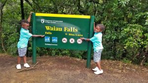 Black Family Travel waiau falls